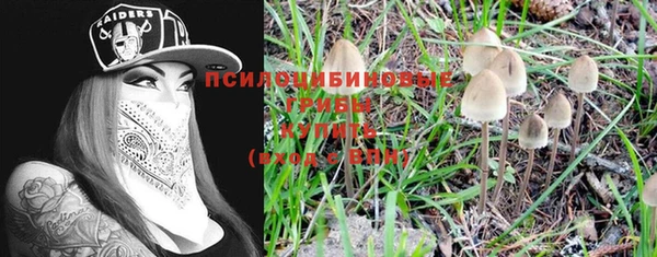 крисы Баксан