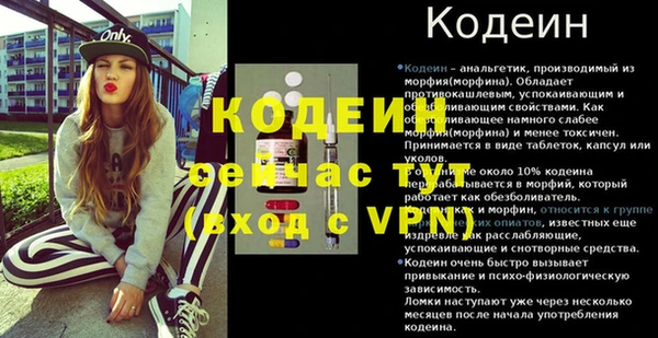 крисы Баксан