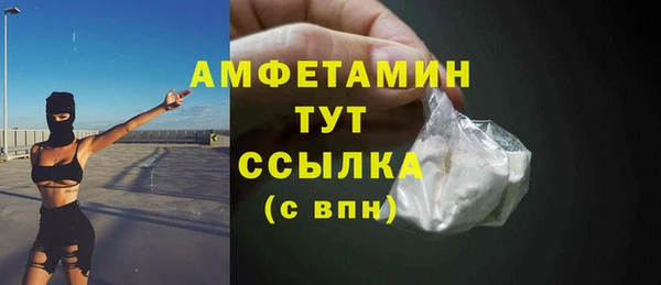крисы Баксан