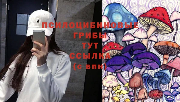 крисы Баксан
