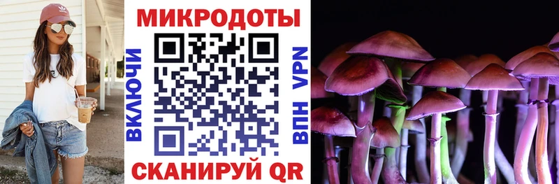 Галлюциногенные грибы прущие грибы  Лагань 